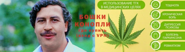 ГАЛЛЮЦИНОГЕННЫЕ ГРИБЫ Балабаново