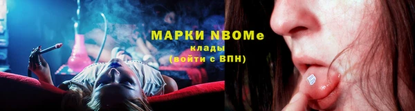 стаф Баксан