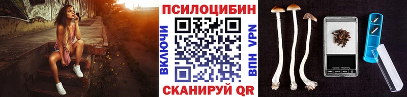 Псилоцибиновые грибы GOLDEN TEACHER  Власиха 